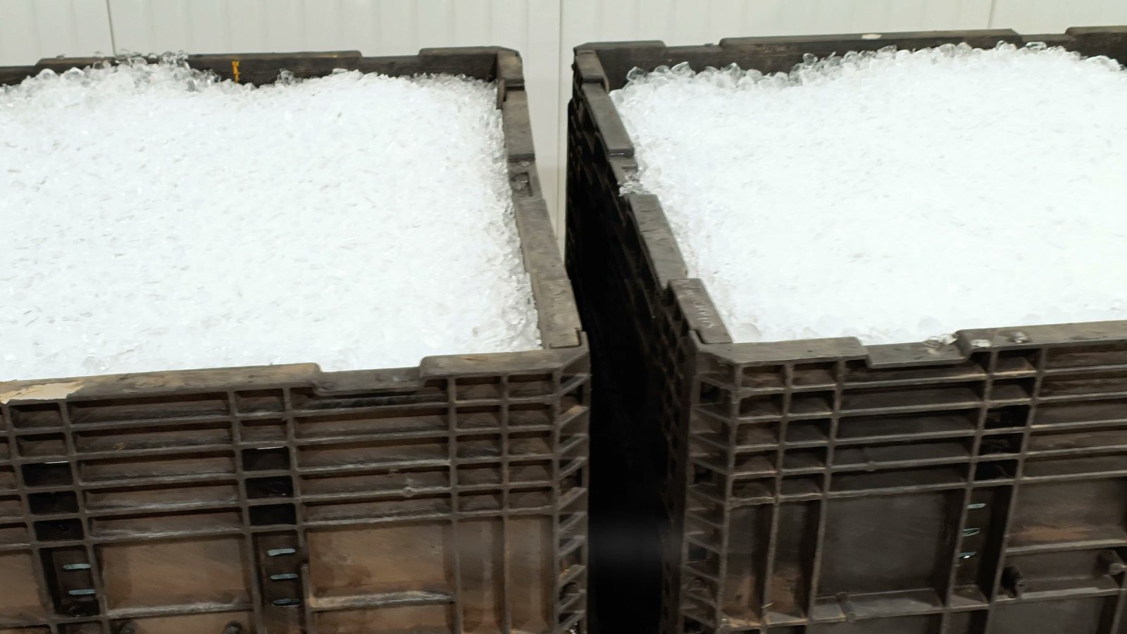 Wrapped pallets of bagged ice in the freezer at Motor City Ice